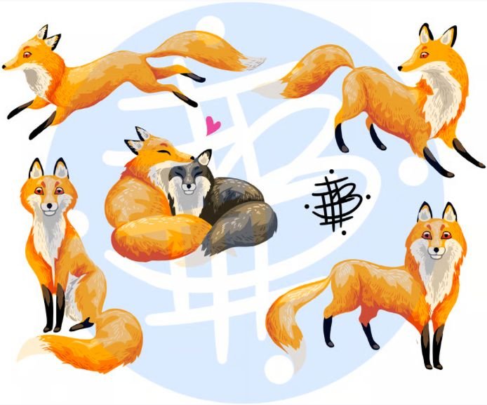 Foxes